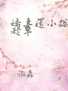 娇妻还小总裁要趁早