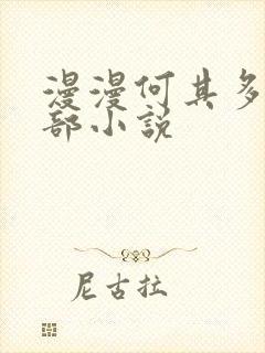 漫漫何其多的全部小说