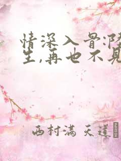 情深入骨:陆先生,再也不见之