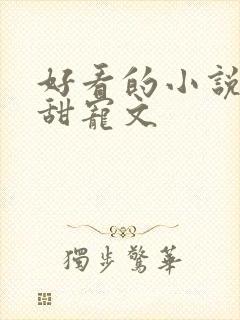 好看的小说言情甜宠文