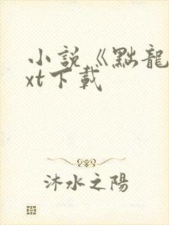 小说《黜龙》txt下载