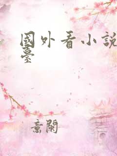 国外看小说的平台