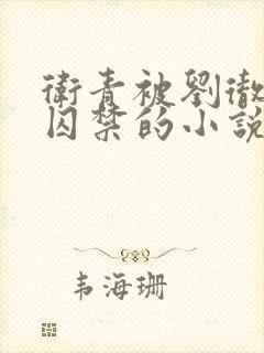 卫青被刘彻锁住囚禁的小说