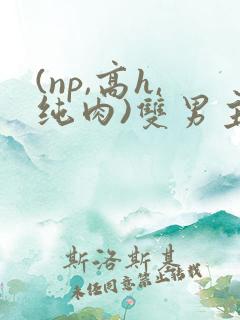 (np,高h,纯肉)双男主