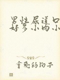 男性尿道口长了好多小肉小米粒