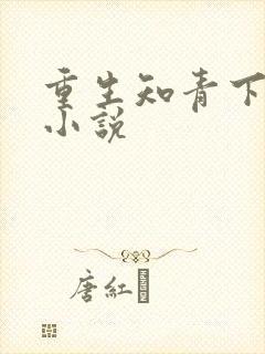 重生知青下乡的小说