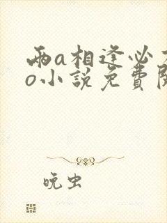 两a相逢必有一o小说免费阅读无删减