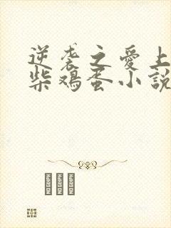 逆袭之爱上情敌柴鸡蛋小说全集完整版