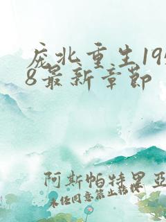 庞北重生1958最新章节