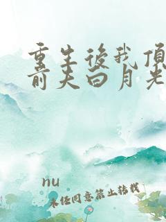 重生后我顶替了前夫白月光最新章节txt