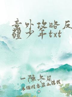 意外攻略反派苗疆少年txt