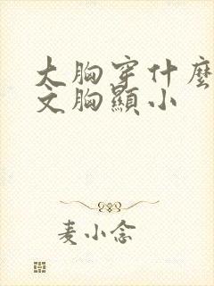 大胸穿什么样的文胸显小