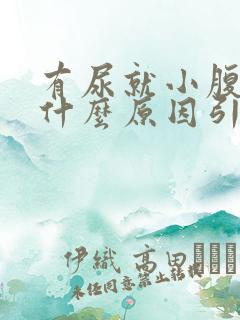 有尿就小腹胀痛什么原因引起的