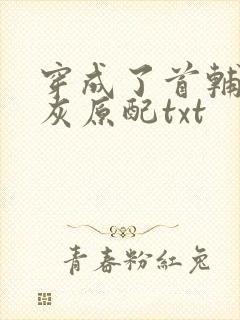 穿成了首辅的炮灰原配txt