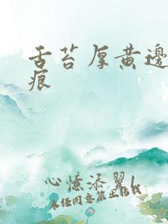 舌苔厚黄边有齿痕