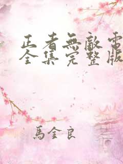 正者无敌电视剧全集完整版免费观看