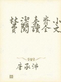 林洁秦齐小说免费阅读全文最新章节