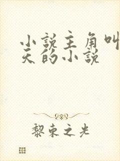 小说主角叫叶凌天的小说