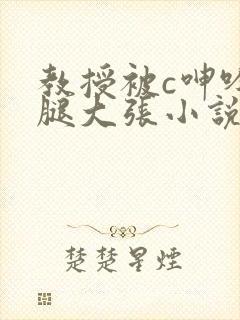 教授被c呻吟双腿大张小说