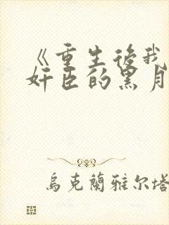 《重生后我成了奸臣的黑月光》