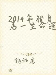 2014年腊月马一生命运如何