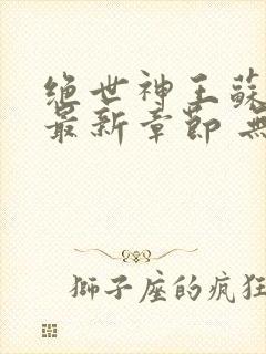 绝世神王苏莫 最新章节 无弹窗 笔趣阁