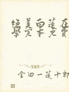 绝美白莲在线教学完本免费阅读