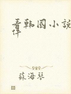 看韩国小说的软件