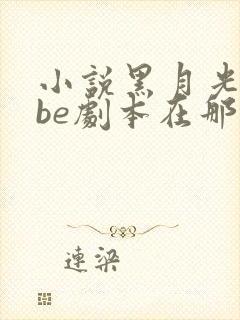 小说黑月光拿稳be剧本在那里更新