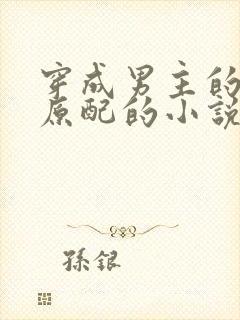 穿成男主的短命原配的小说