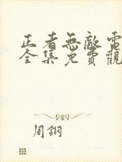 正者无敌电视剧全集免费观看