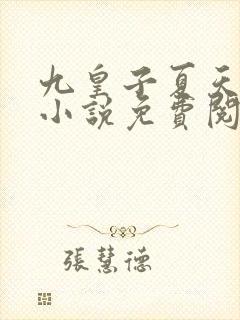九皇子夏天穿越小说免费阅读
