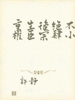 重生后绝不嫁给权臣宗肆小说最新章节