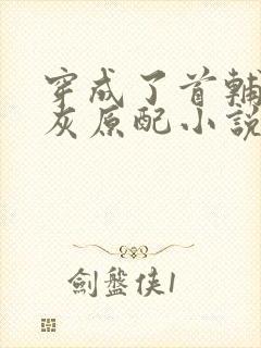 穿成了首辅的炮灰原配小说