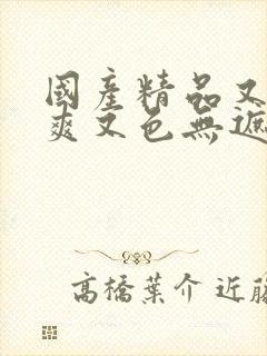 国产精品又黄又爽又色无遮挡的视频