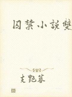 囚禁小说双男主