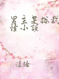 男主是总裁的言情小说