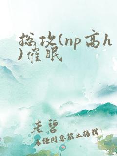 总攻(np高h)催眠