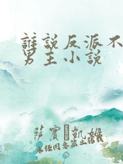 谁说反派不能当男主小说