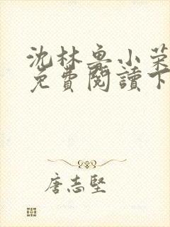 沈林鲁小荣小说免费阅读下载