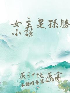 女主是孙胜完的小说