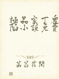 极品家丁众女沦陷小说免费阅读