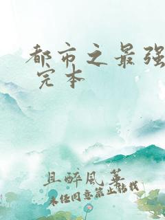 都市之最强狂兵 完本