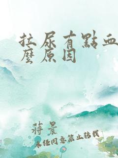 拉尿有点血是什么原因