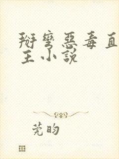 掰弯恶毒直男男主小说