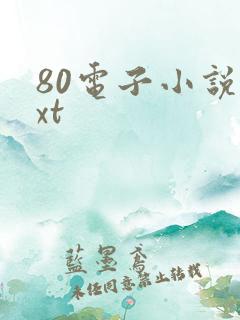 80电子小说txt