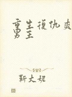 重生复仇爽文双男主