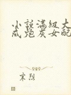 小说满级大佬穿成炮灰女配