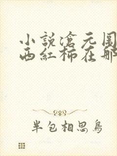 小说沧元图我吃西红柿在那里更新