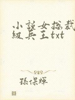 小说女总裁的超级兵王txt